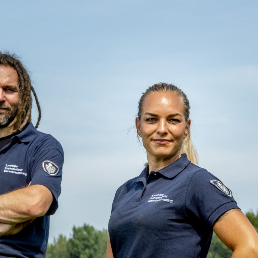 Magazine DIER - Jan redt paarden