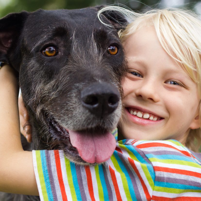 Hond en kind