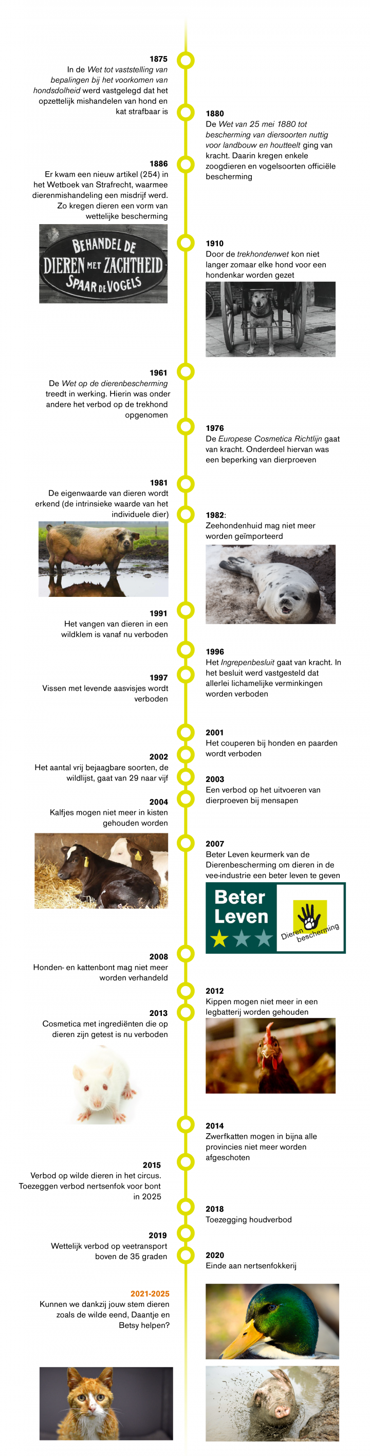 Tijdlijn tweede kamerverkiezingen