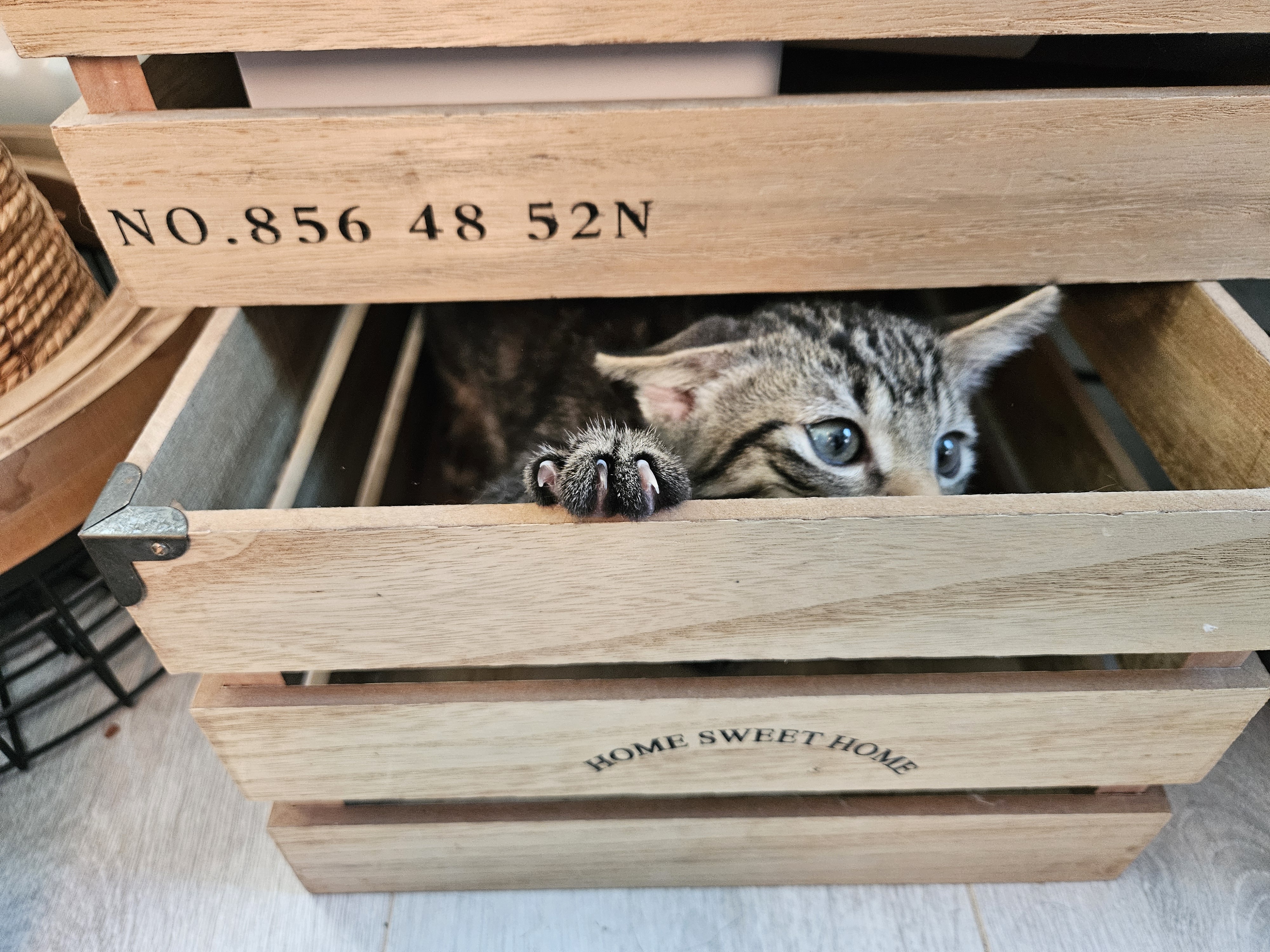 Nino in een krat met 'Home Sweet Home' erop