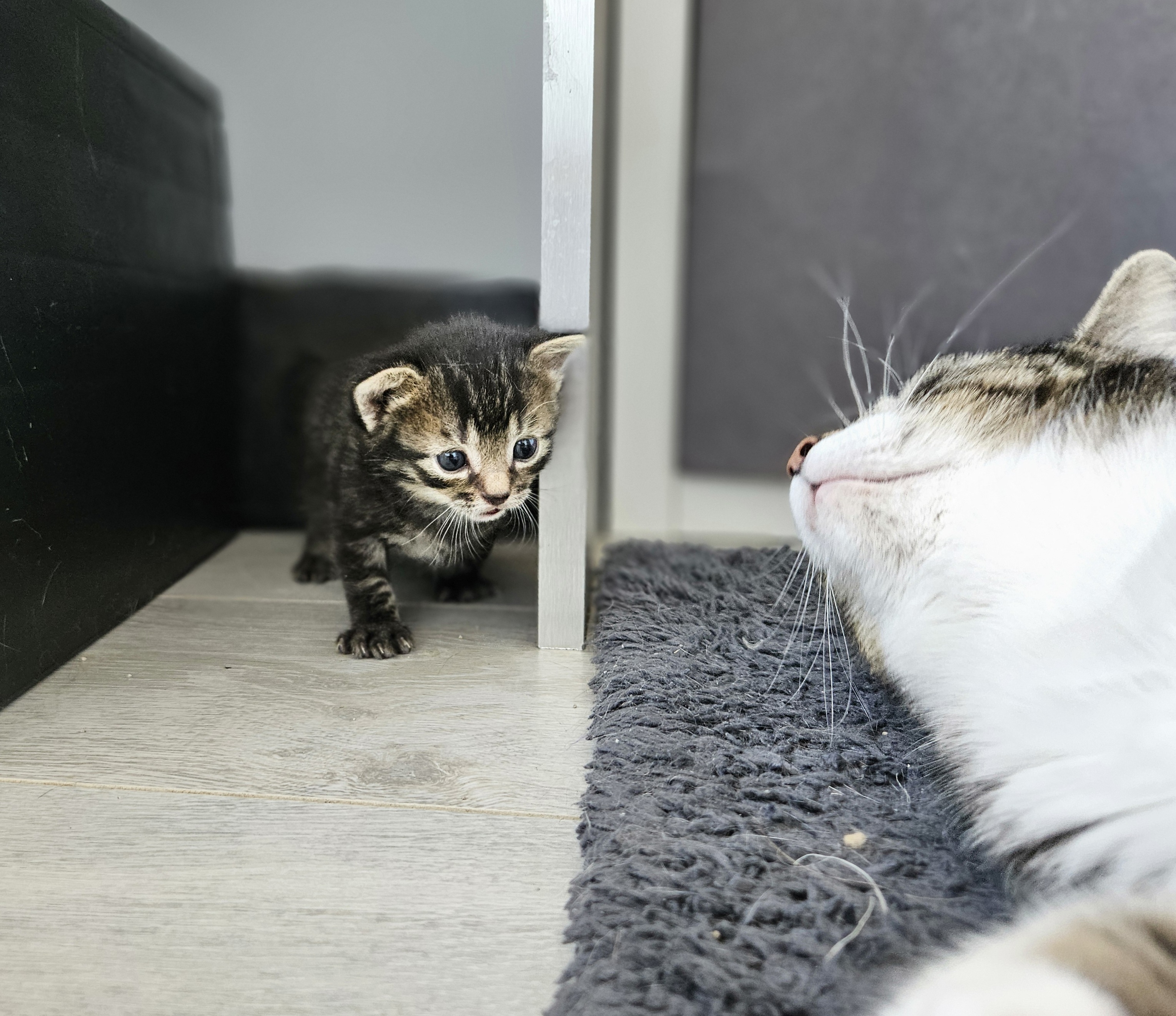 Kleine Nino met moederpoes Nola