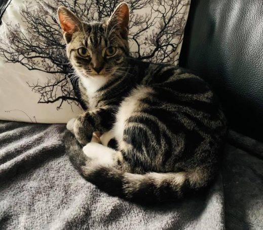 Pixel