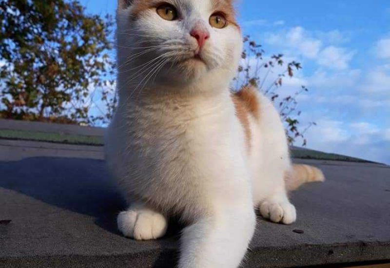 1626087575 FB IMG 1626004791836