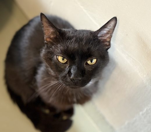 Deimos