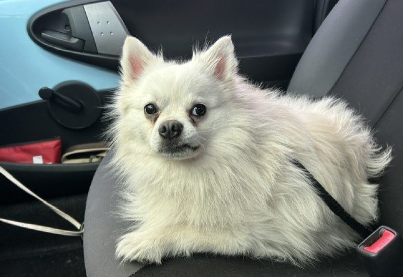 1192662 Teddy 11
