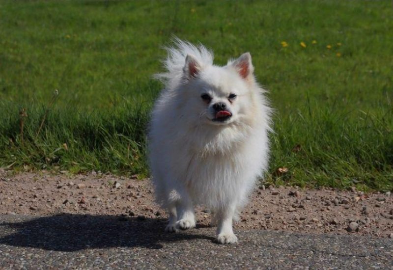 1192662 teddy