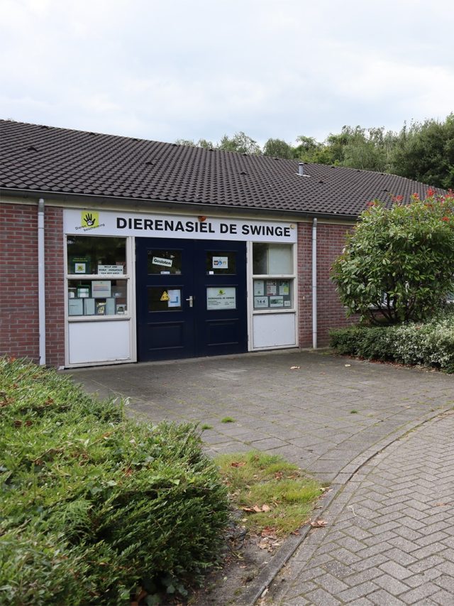 De Swinge bewerkt kopie