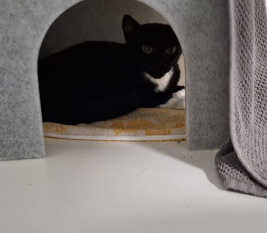 BOERDERIJ KATTEN