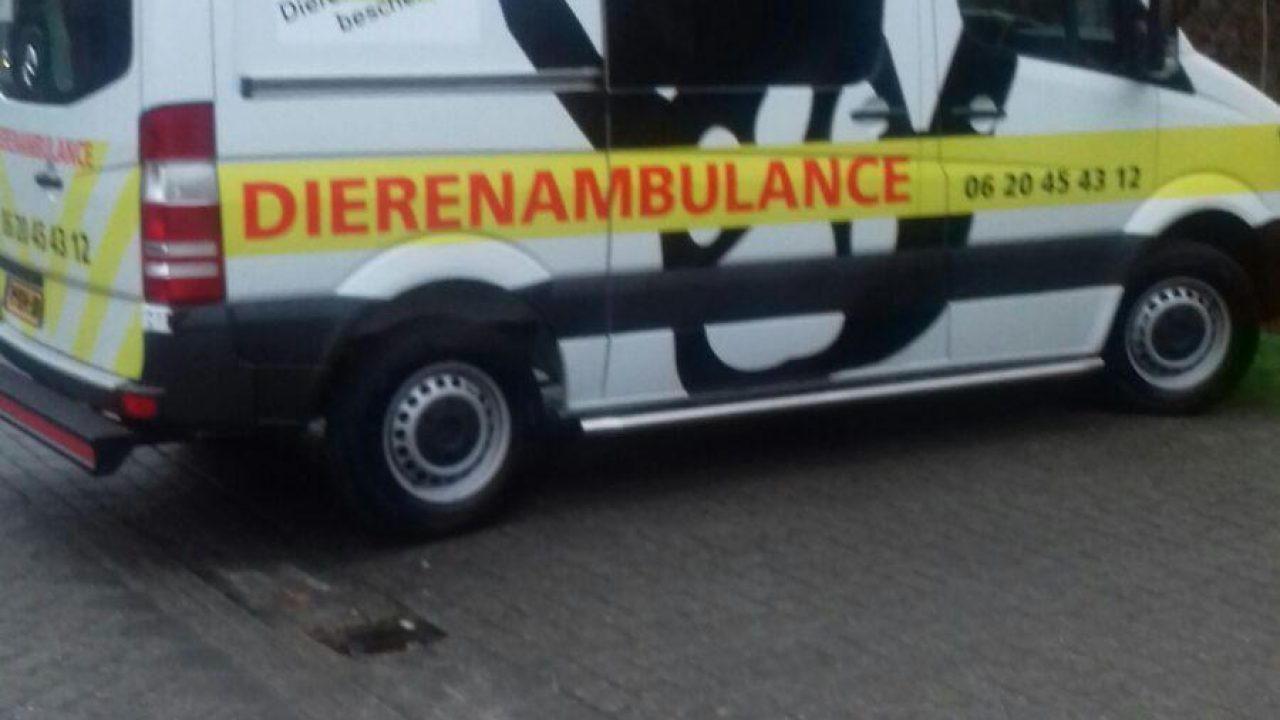 Nieuwe  dierenambulance