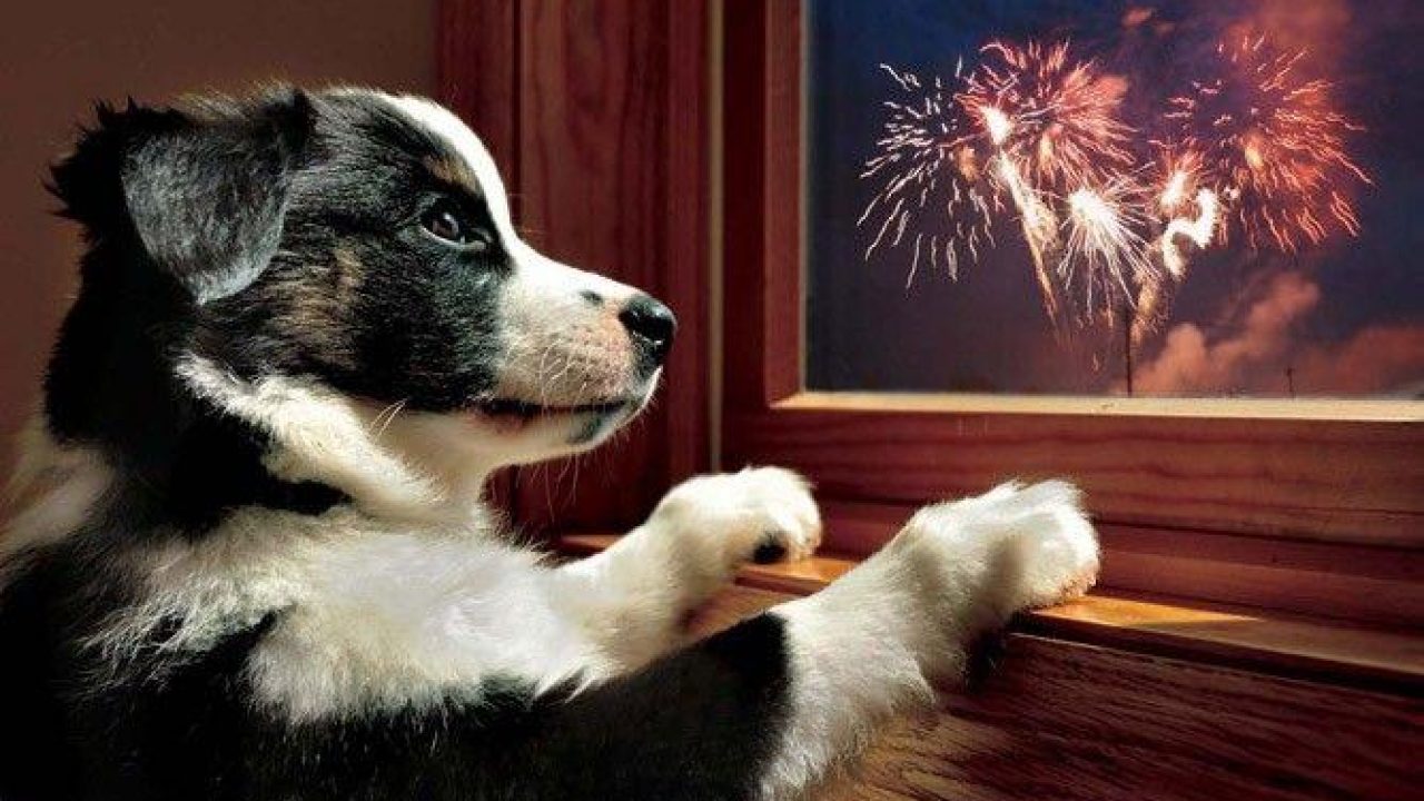 Vuurwerk!!!