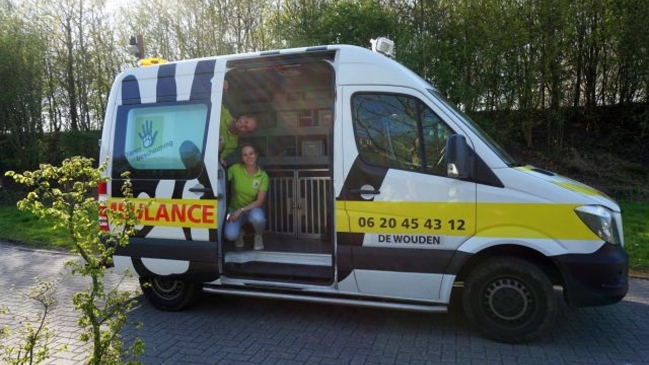Succesvolle inloopavond over vrijwilligerswerk
