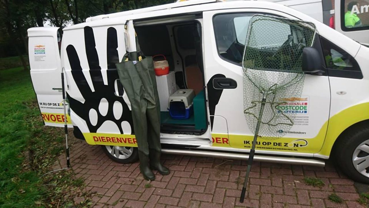 Schoolbezoek CBS de Arke in Nijbeets