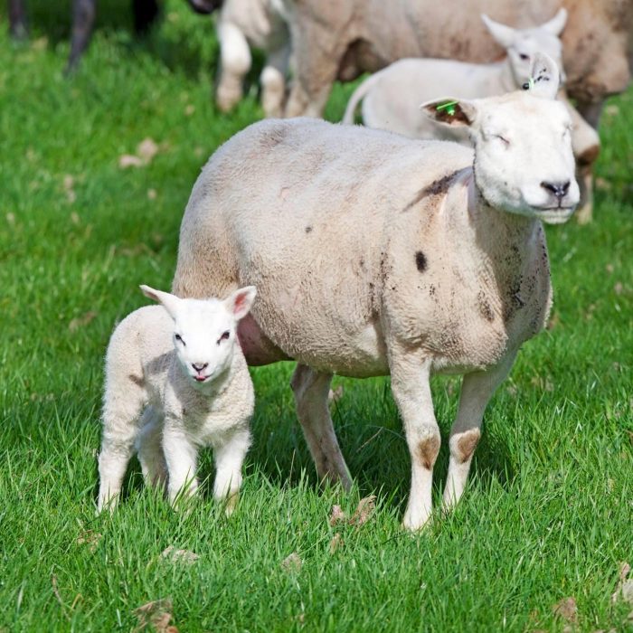 Doe een donatie