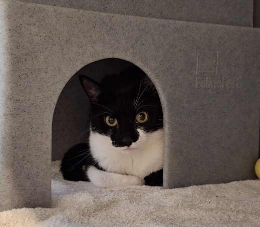 Milo