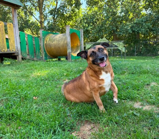 Max