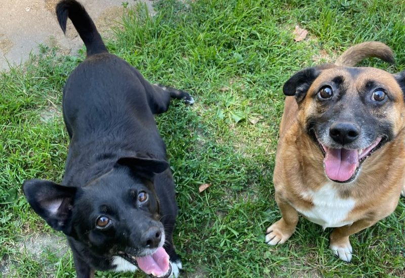 Daisy en Max