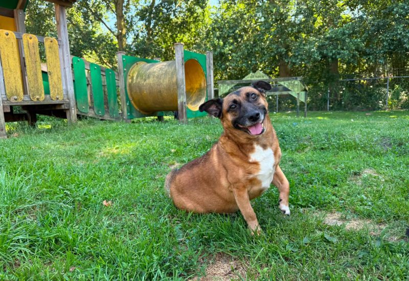 Max