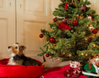 Wensenlijstje kerst