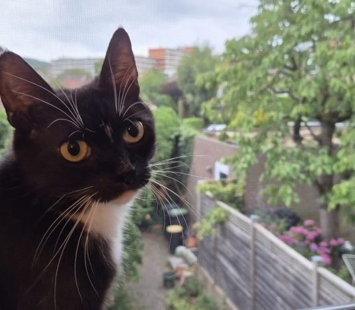 Shanti (verblijft in gastgezin)