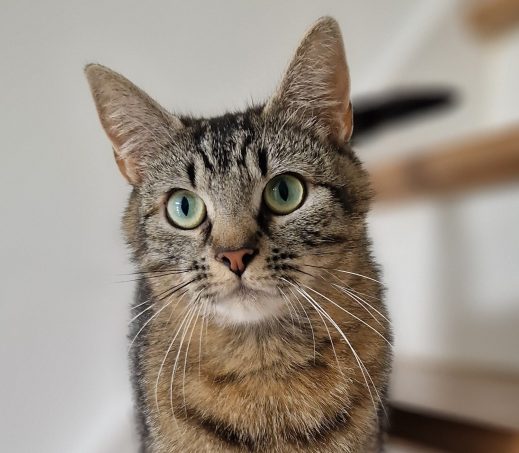 Bella (verblijft in gastgezin)