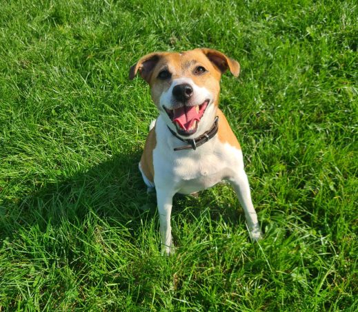 Max