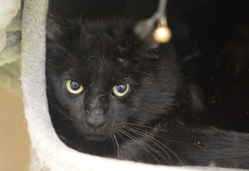 John