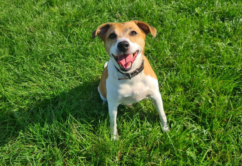 Max