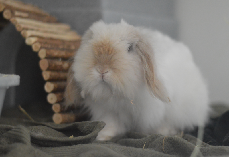 Meneer fre3