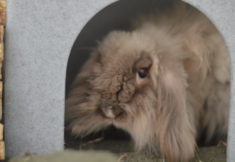 Meneer fre45