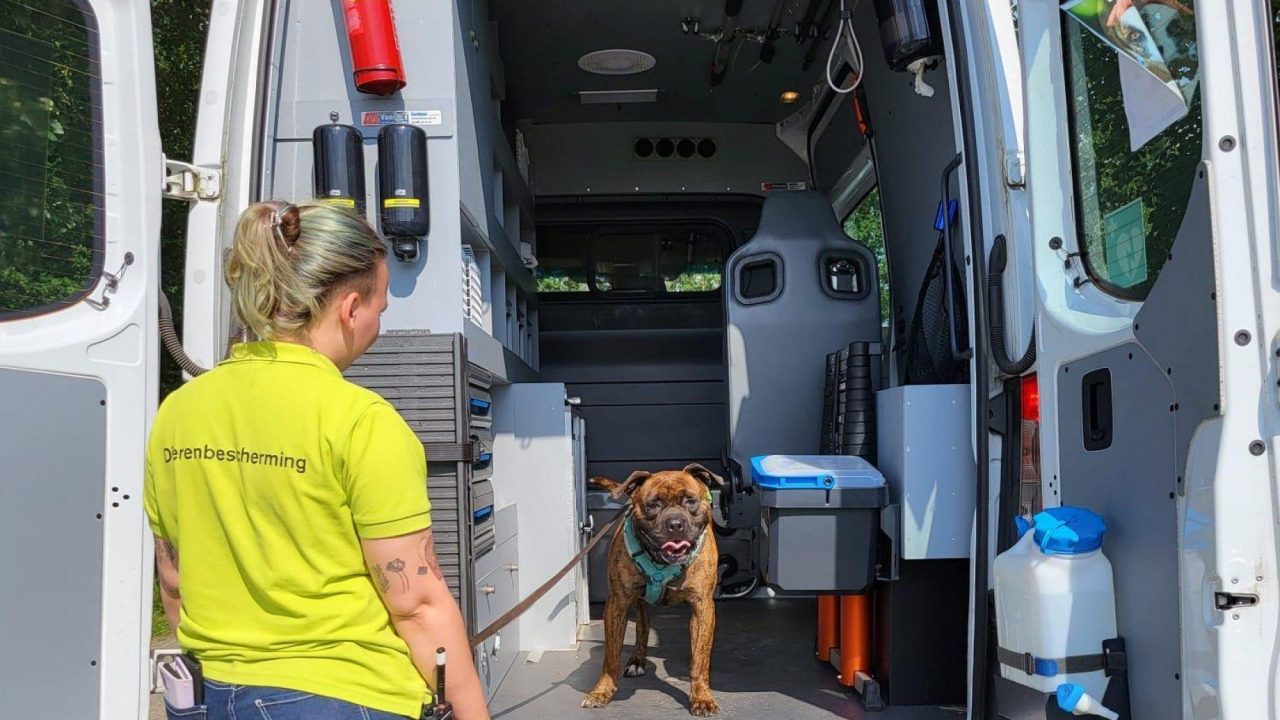Vrijwilliger worden bij de dierenambulance