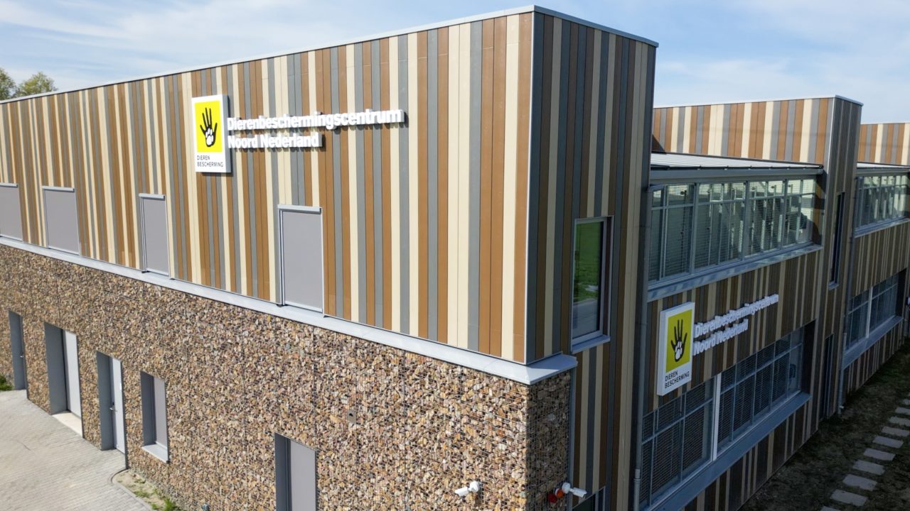 Reactie nare berichten euthanasie