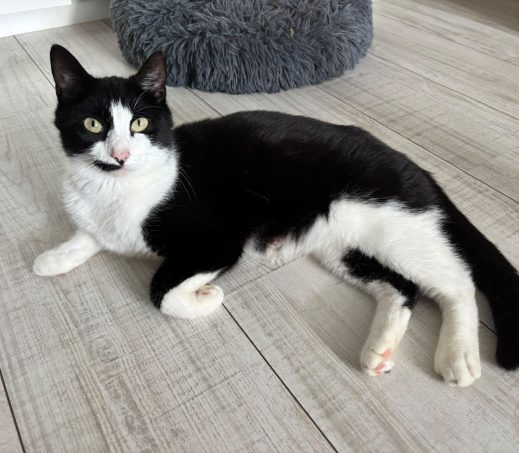 Yuna (verblijft in een gastgezin)