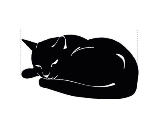Overleden kat Appingedam