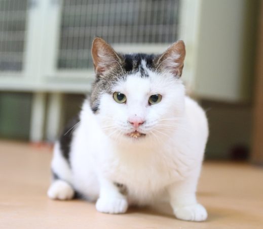 Catrick Swayze