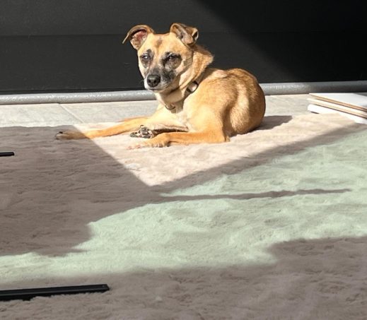 Zoë