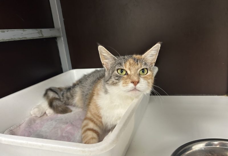 IMG 9456