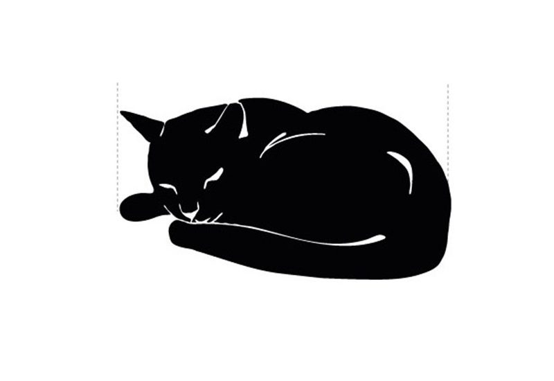 Overleden kat