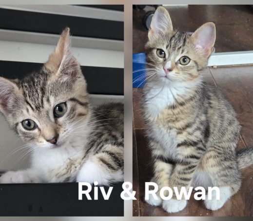 Rowan & Riv