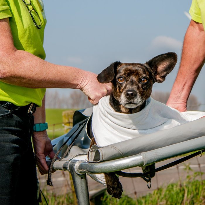 Over de dierenambulance