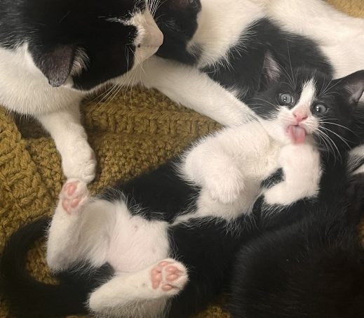 Leo & Milo