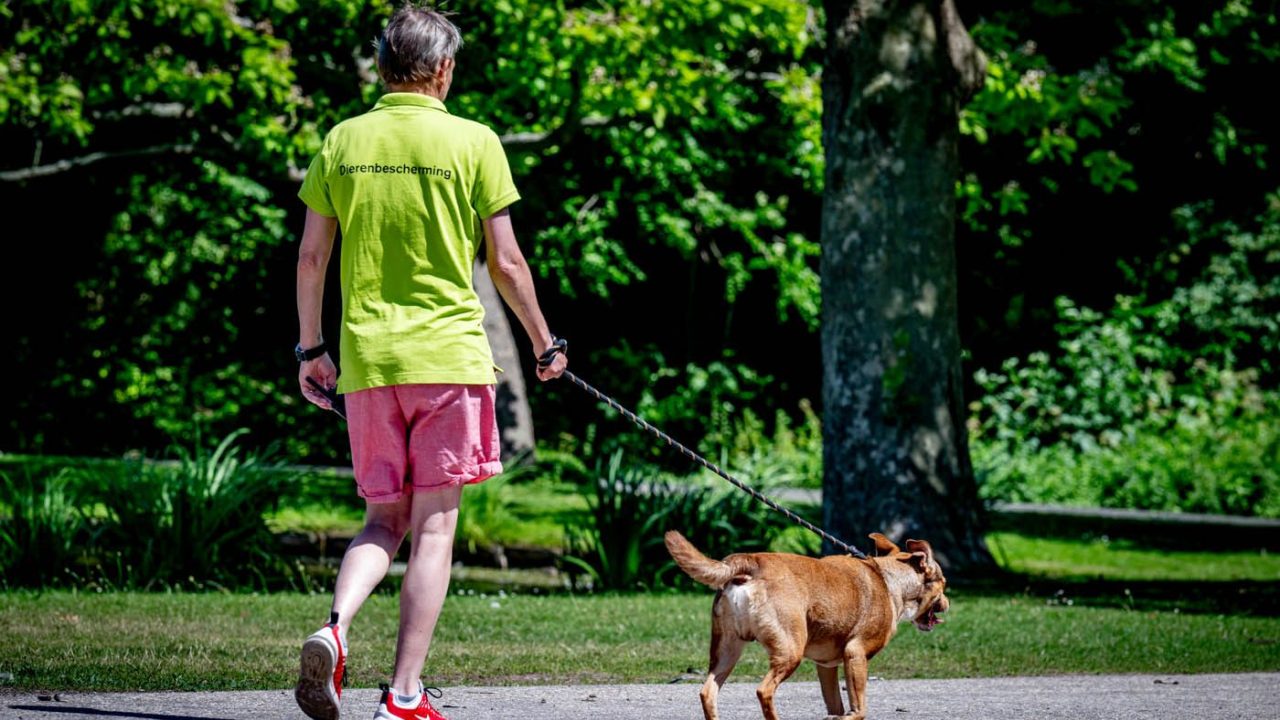 Hondenpension gestopt