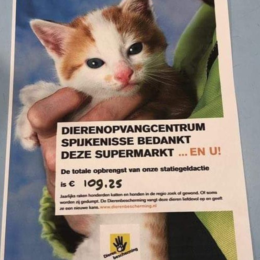 Albert Heijn Oostvoorne