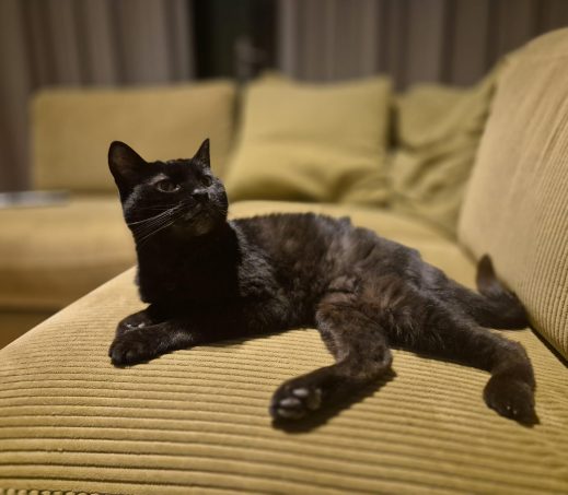 Rosie (In gastgezin)