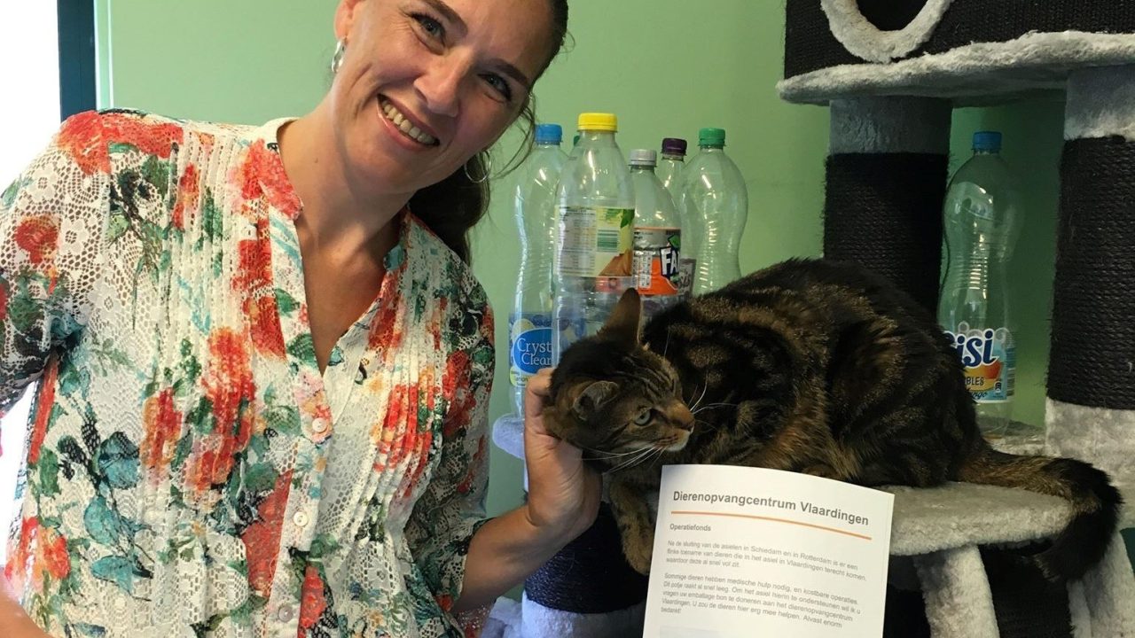 Statiegeld voor operatiepotje asieldieren