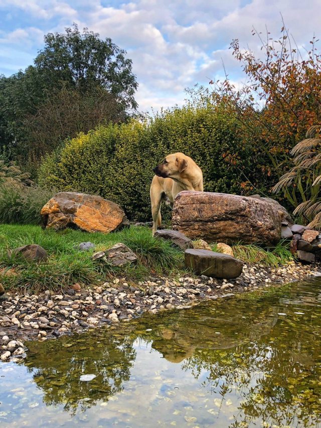Natuurtuin Omar