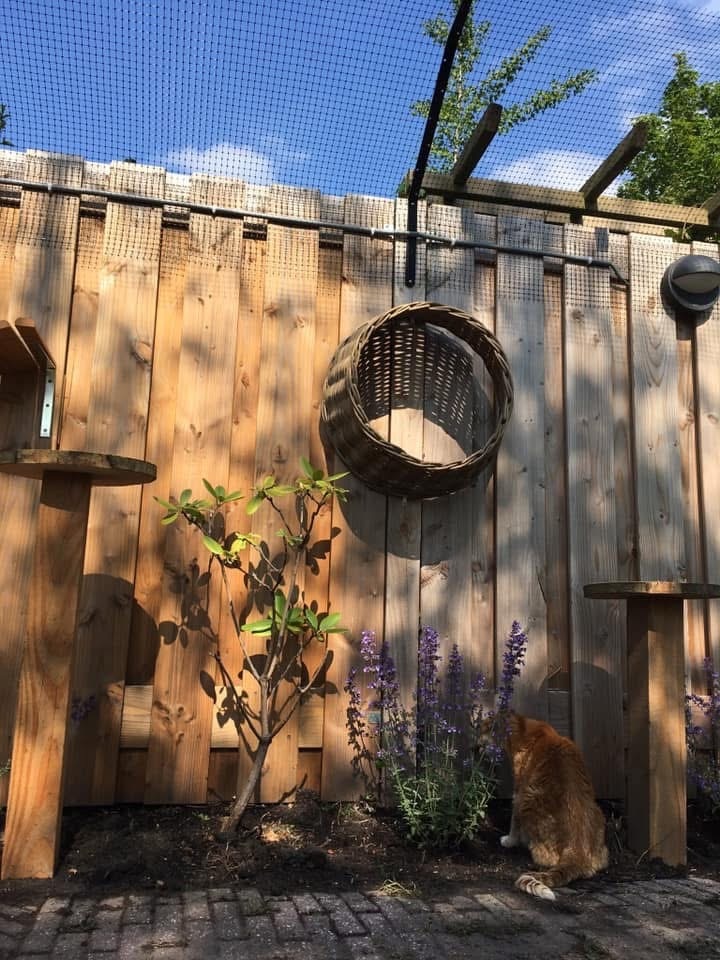 Tuin afgezet