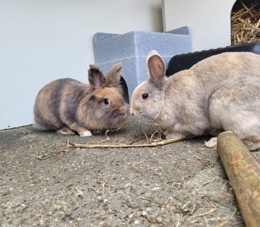 Aron en Nina