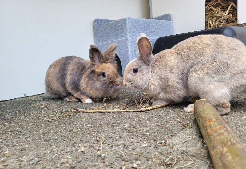 Aron en Nina
