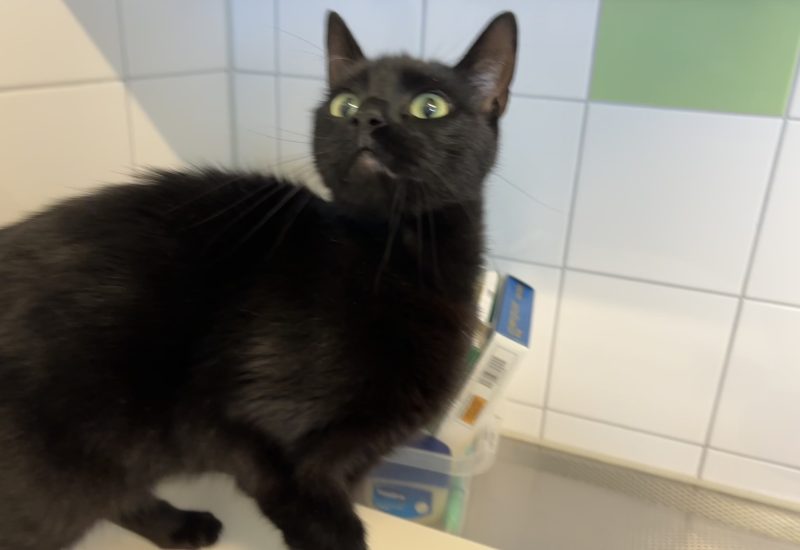Tika