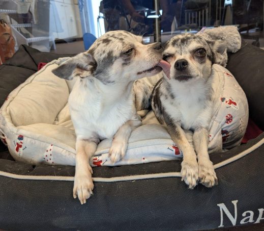 Nana en Phoebe